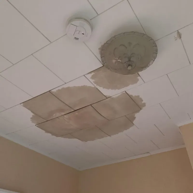 Ceiling Water Damage Repair in Batesville, TX