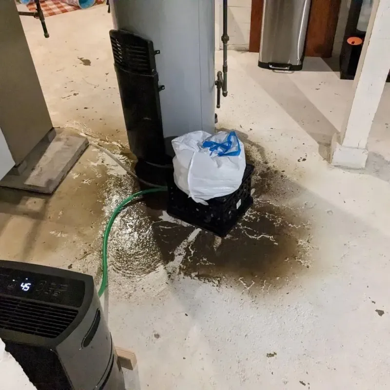 Sewage Backup Cleanup Service in Batesville, TX